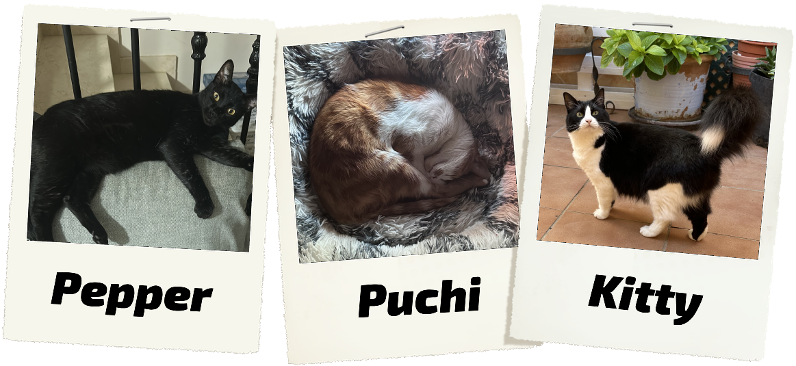Mis gatitos